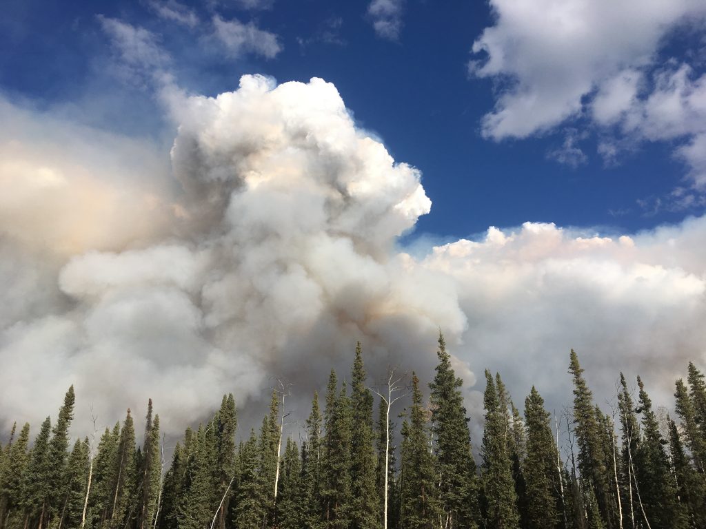 Forest fire smoke along the Klondike Highway, photo by Adjani Poirier